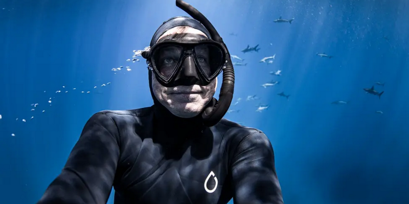 aussiebucketlist.com.au - Guided Galapagos Shark Encounter Tour - 3