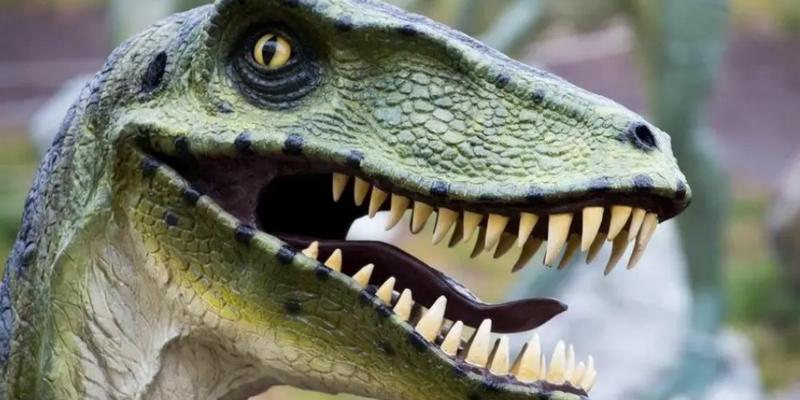 aussiebucketlist.com.au - National Dinosaur Museum - 2