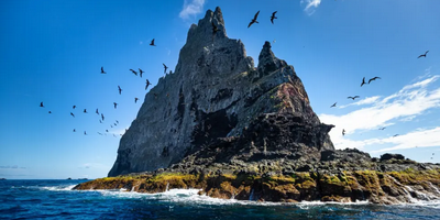 Ball’s Pyramid Lord Howe Island Expedition
