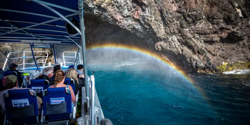 aussiebucketlist.com.au - Ball’s Pyramid Lord Howe Island Expedition - 5