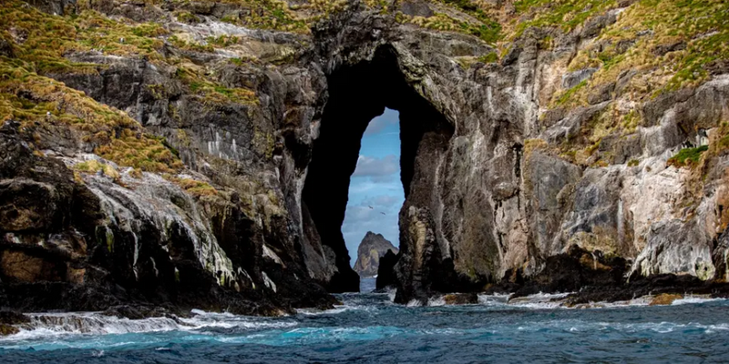 aussiebucketlist.com.au - Ball’s Pyramid Lord Howe Island Expedition - 10