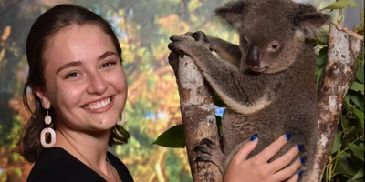 Cuddle a Koala in Cairns