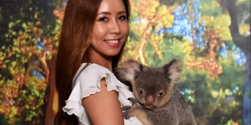 aussiebucketlist.com.au - Cuddle a Koala in Cairns - 4