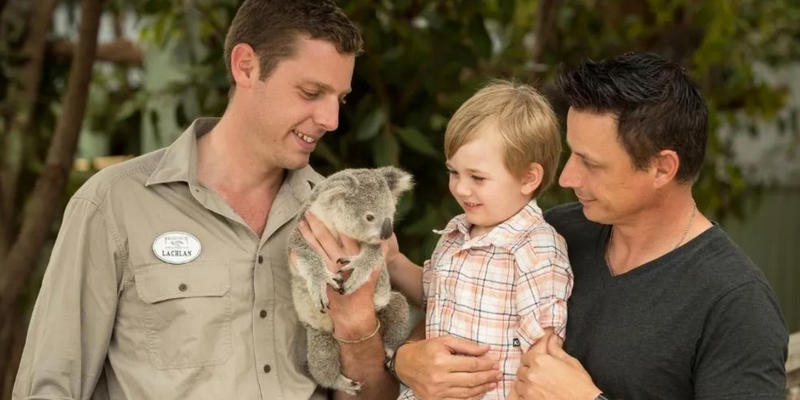 aussiebucketlist.com.au - Paradise Country Koala Breakfast including Koala Cuddle - 1