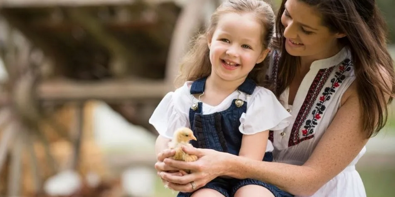aussiebucketlist.com.au - Paradise Country Koala Breakfast including Koala Cuddle - 4