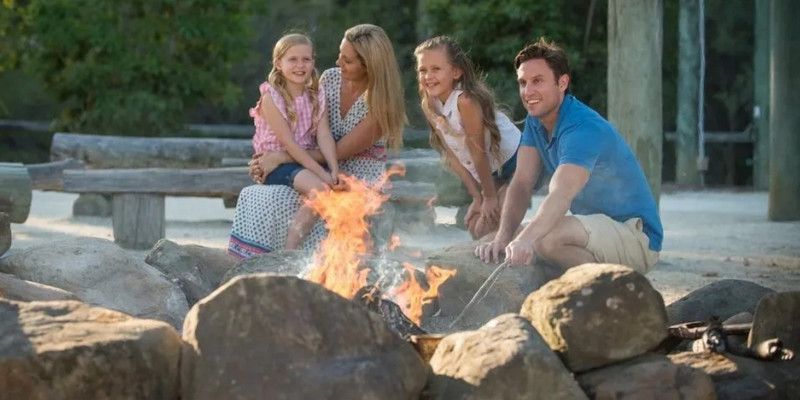 aussiebucketlist.com.au - Paradise Country Koala Breakfast including Koala Cuddle - 6