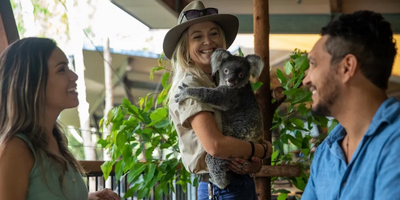 Breakfast with Koalas at Hartley's Crocodile Adventures