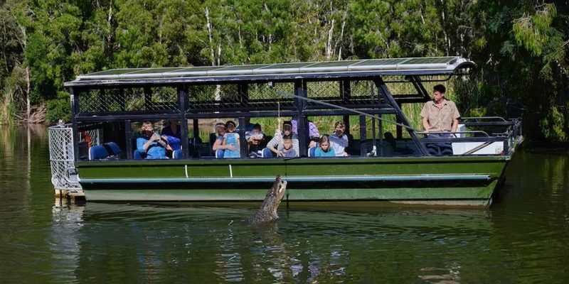 aussiebucketlist.com.au - Breakfast with Koalas at Hartley's Crocodile Adventures - 3