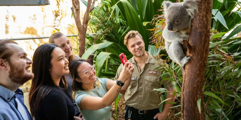 aussiebucketlist.com.au - Breakfast and Cuddle with the Koalas in Sydney - 1