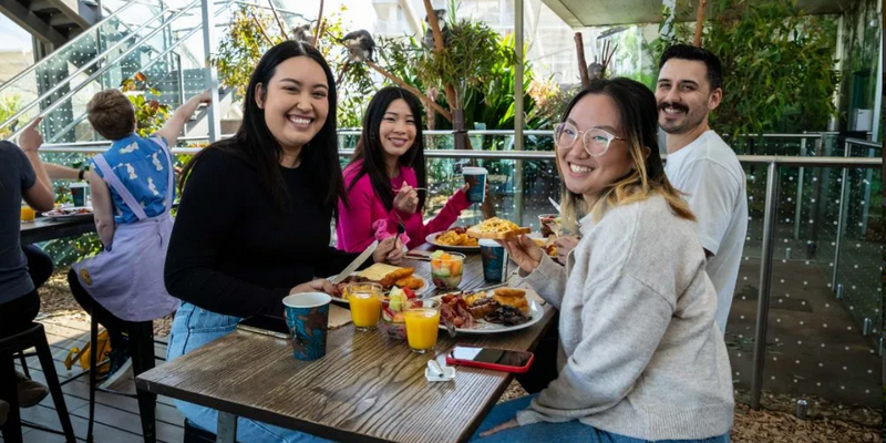 aussiebucketlist.com.au - Breakfast and Cuddle with the Koalas in Sydney - 5