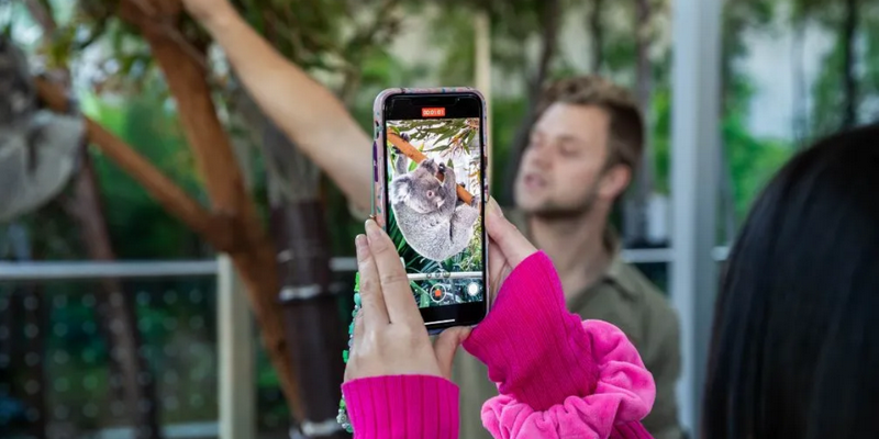 aussiebucketlist.com.au - Breakfast and Cuddle with the Koalas in Sydney - 6