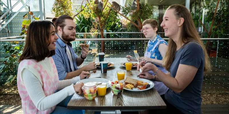 aussiebucketlist.com.au - Breakfast and Cuddle with the Koalas in Sydney - 8