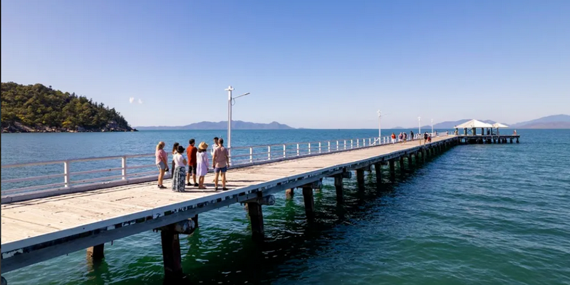aussiebucketlist.com.au - Magnetic Island ‘Izzy's Koala’ Tour - Half Day - 4