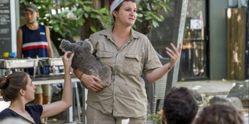 aussiebucketlist.com.au - Magnetic Island Meet and Greet Breakfast with Koalas - 4