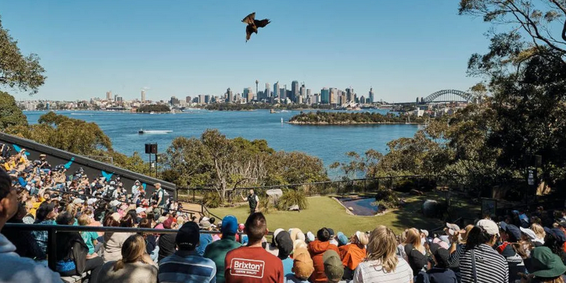 aussiebucketlist.com.au - Taronga Zoo Sydney - 2