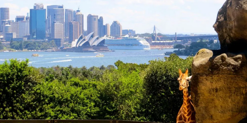 aussiebucketlist.com.au - Taronga Zoo Sydney - 6