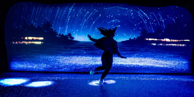 aussiebucketlist.com.au - SEA LIFE Sydney Aquarium - 7