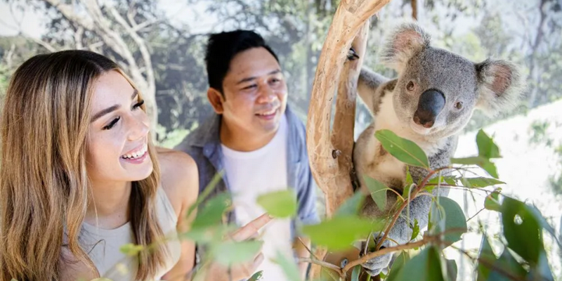 aussiebucketlist.com.au - Sydney Zoo - 3