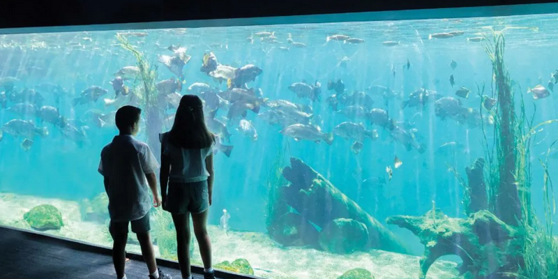 aussiebucketlist.com.au - Sydney Zoo - 6