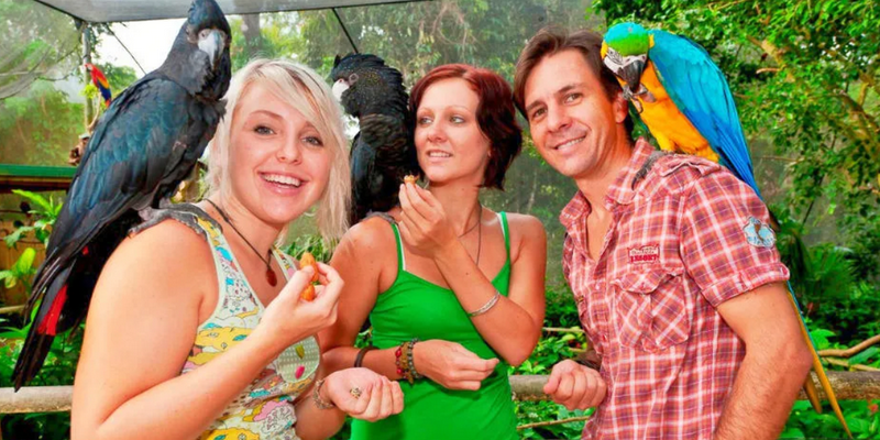 aussiebucketlist.com.au - Kuranda Koala Gardens and Birdworld - 1