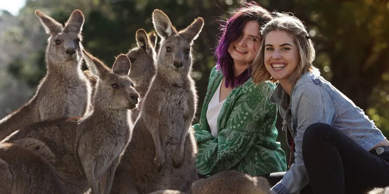 aussiebucketlist.com.au - Symbio Wildlife Park - 4