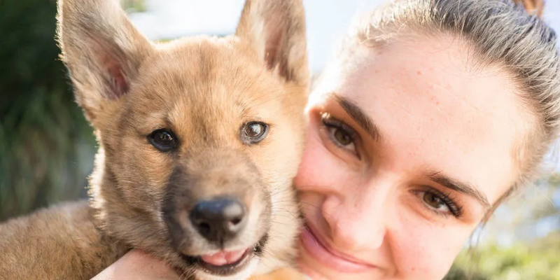 aussiebucketlist.com.au - Symbio Wildlife Park - 9