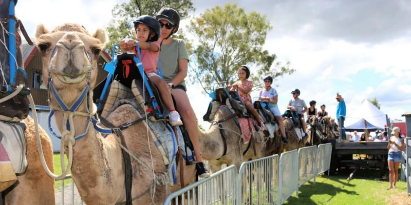 aussiebucketlist.com.au - Summer Land Camel Trail Ride - 1