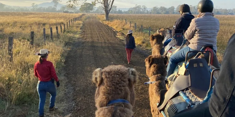 aussiebucketlist.com.au - Summer Land Camel Trail Ride - 4