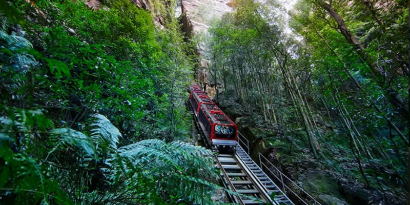 aussiebucketlist.com.au - Scenic World Blue Mountains - 4