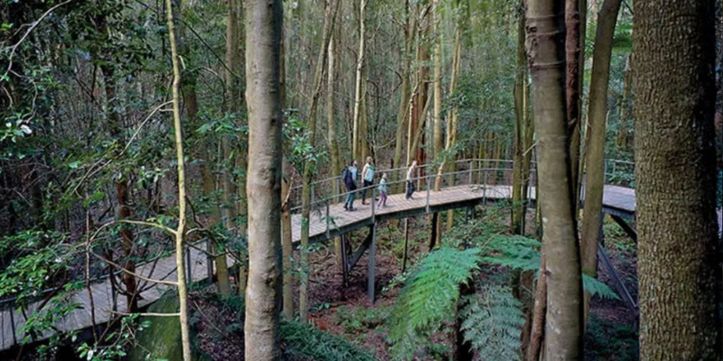 aussiebucketlist.com.au - Scenic World Blue Mountains - 5