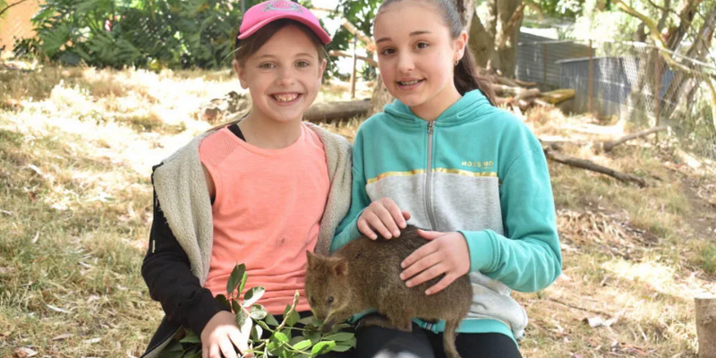 aussiebucketlist.com.au - Gorge Wildlife Park  - 3