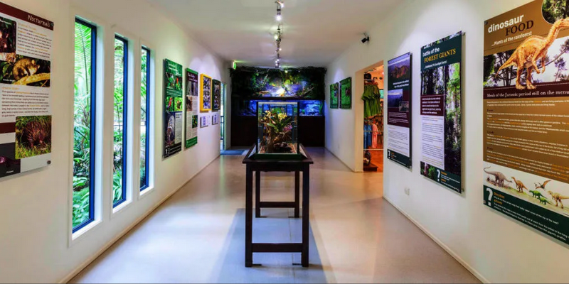 aussiebucketlist.com.au - Tamborine Rainforest Skywalk - 2