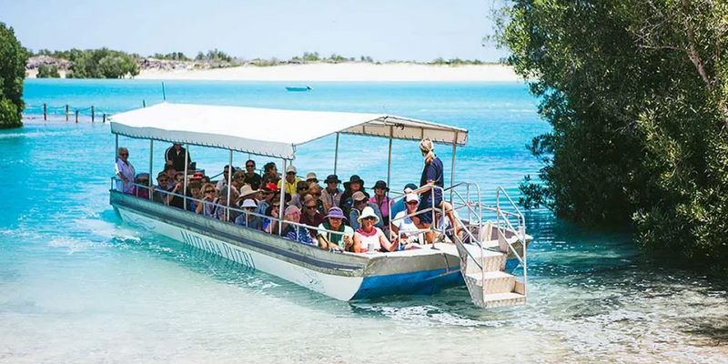 aussiebucketlist.com.au - Willie Creek Pearl Farm Tour with Transfers from Broome - 3
