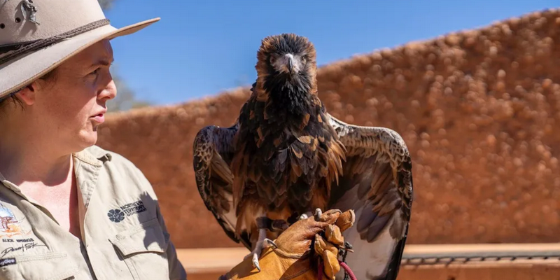 aussiebucketlist.com.au - Alice Springs Desert Park - 4