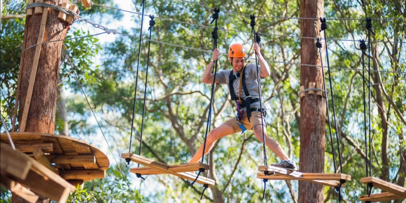 aussiebucketlist.com.au - Coffs Harbour Treetop Adventure - 2