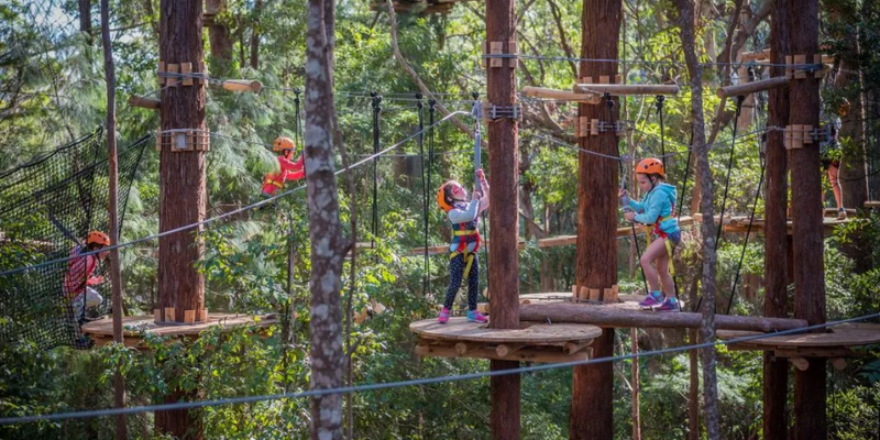 aussiebucketlist.com.au - Coffs Harbour Treetop Adventure - 4