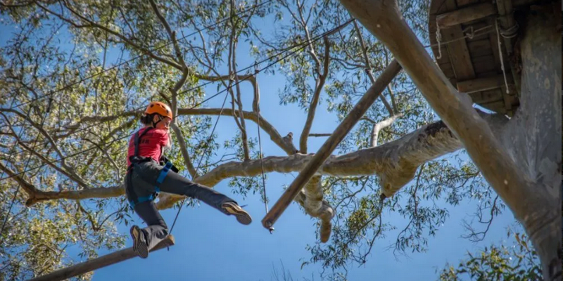 aussiebucketlist.com.au - Treetops Adventure Canberra - 2