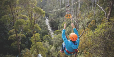 Treetops Adventure Zipline Tour
