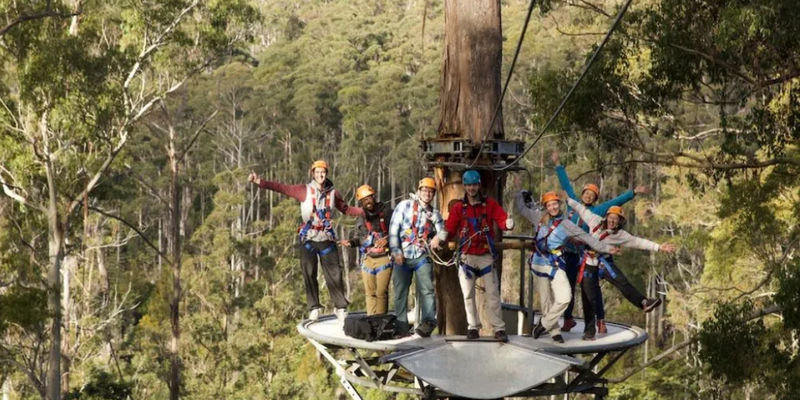 aussiebucketlist.com.au - Treetops Adventure Zipline Tour - 3