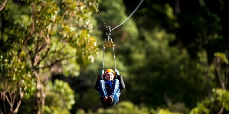 aussiebucketlist.com.au - Treetops Adventure Zipline Tour - 4