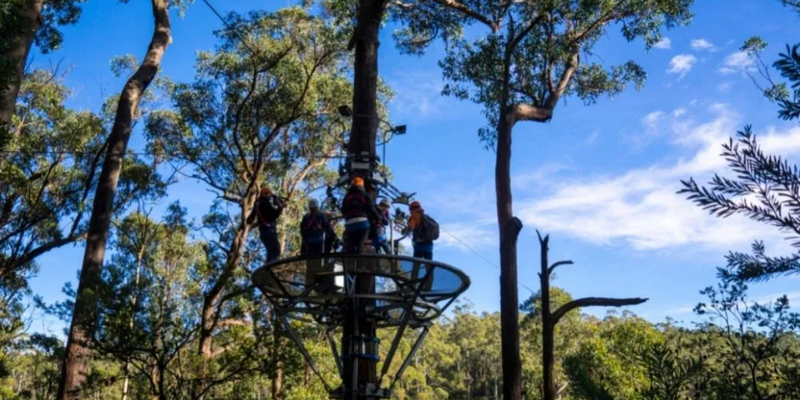 aussiebucketlist.com.au - Treetops Adventure Zipline Tour - 5
