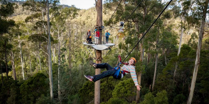 aussiebucketlist.com.au - Treetops Adventure Zipline Tour - 6