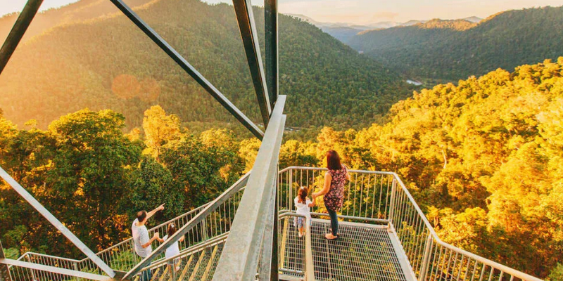 aussiebucketlist.com.au - Mamu Tropical Skywalk  - 2