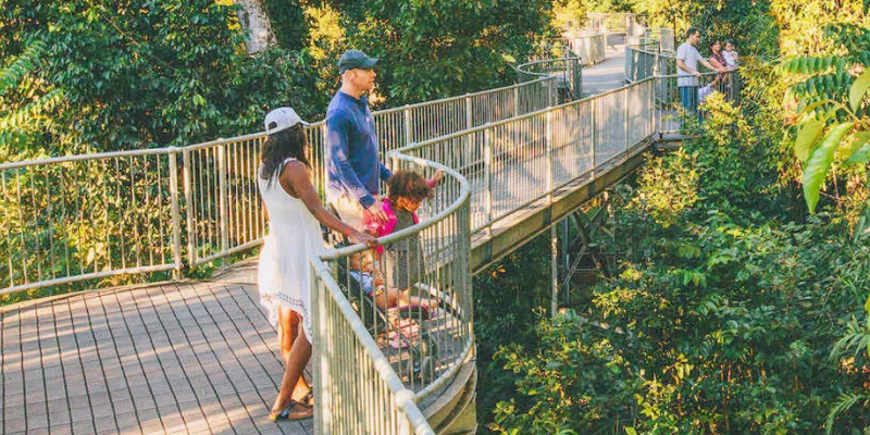 aussiebucketlist.com.au - Mamu Tropical Skywalk  - 3