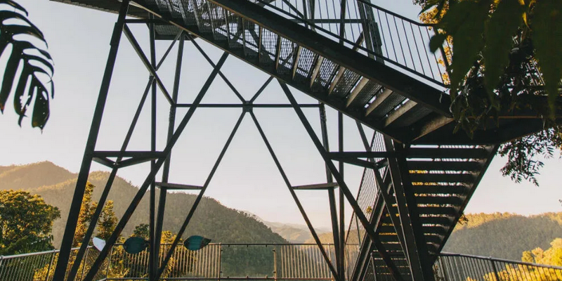 aussiebucketlist.com.au - Mamu Tropical Skywalk  - 4