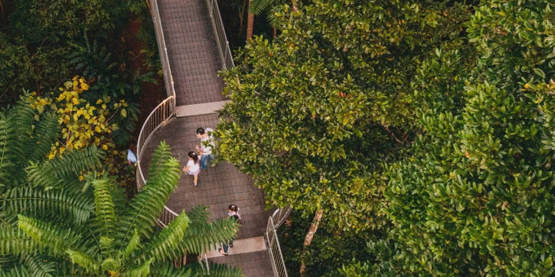 aussiebucketlist.com.au - Mamu Tropical Skywalk  - 5