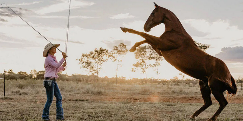 aussiebucketlist.com.au - Katherine Outback Show - 1