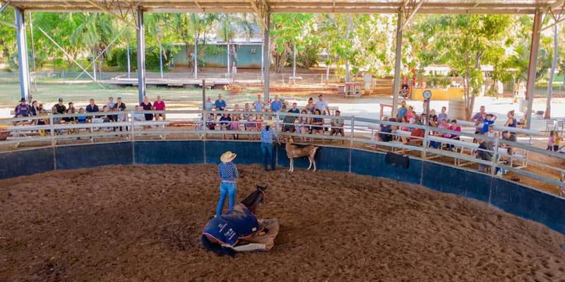 aussiebucketlist.com.au - Katherine Outback Show - 2
