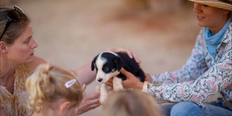 aussiebucketlist.com.au - Katherine Outback Show - 4