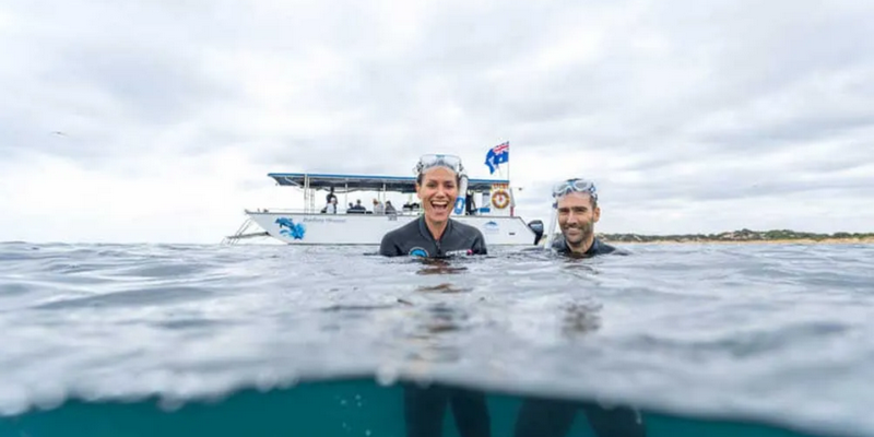 aussiebucketlist.com.au - Swim with Wild Dolphins in Bunbury - 3